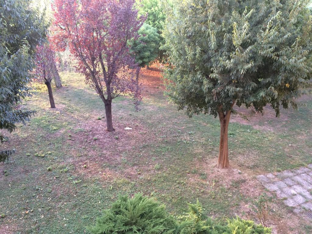 מולינלה Bed & Breakfast Da Eliana מראה חיצוני תמונה