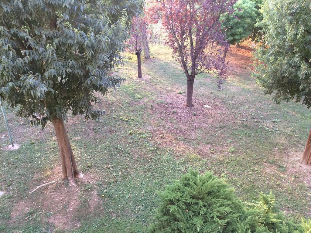 מולינלה Bed & Breakfast Da Eliana מראה חיצוני תמונה